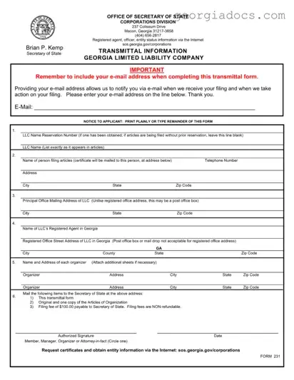 Georgia 231 Template in PDF