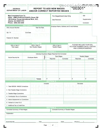 Georgia Dol 3C Template in PDF