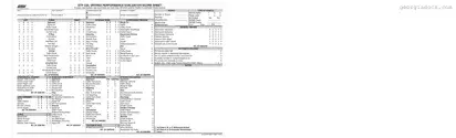Georgia Road Test Score Template in PDF